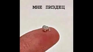 нам стыдно - но это нормально