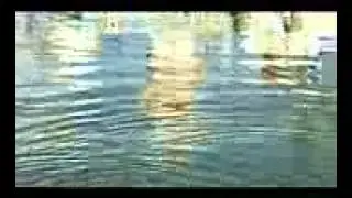Большой улов