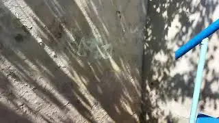 Дача у моря за 2 млн