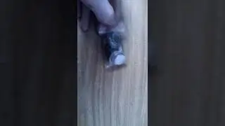 Моя коллекция монет монеты иностранные алюминий и железо