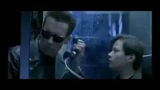 приколы людей и животных