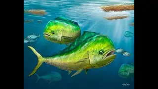 chinese fish rod catching mahi mahi