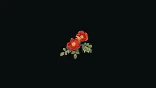 Phora Type Beat 