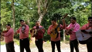 Mix Tu mi chiquitita Conjunto Renovación  buenas rolas #catrachosantos
