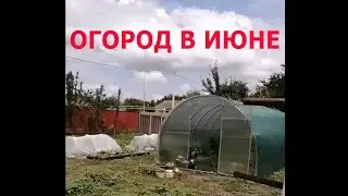 Битва за урожай