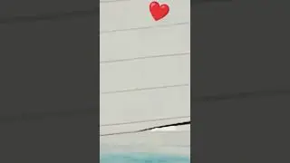 do you love li?