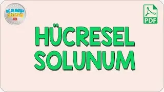 Hücresel Solunum | AYT Biyoloji 2020