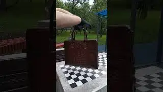 Сумка из кожи крокодила
