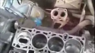 Энвиро Табс, преимущества  В сервисе