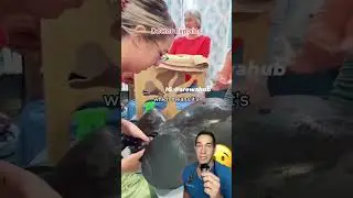 How to deliver a baby - Doctor Explains 