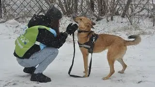 «Добрые дела» в Пензе, 20.11.2021 г