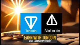How to Earn More Notcoin With 