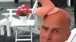 Фаллос на лоб
