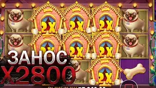 Я СДЕЛАЛ 1000 СПИНОВ DOG HOUS | ЗАНОСЫ НЕДЕЛИ DOG HOUS