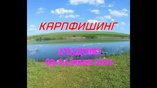 Ачадово 22-23 июня 2021 года. Тузики