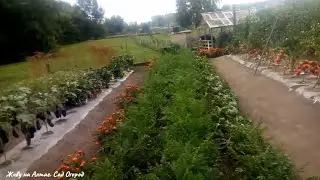 Выравниваем участок своими силами, без вложений.
