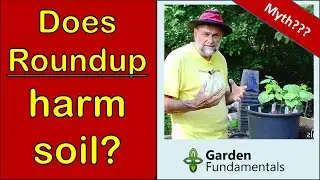 Does Roundup Harm Soil? 🧿️🌽🧿️ How Soon Can You Plant After Spraying?