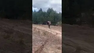 #shortvideo