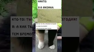 Кто понял ? #shorts  #мемы #кот #бригада