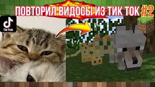 Повторил Видео/Мемы Из Tik Tok В Майнкрафт - #2
