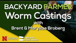Worm Castings