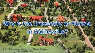 Why is the University of Florida in Gainesville?