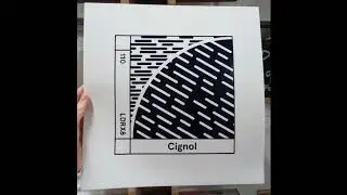 Cignol --  Warm Galaxies