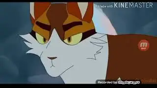 Коты воители песня / Холодок