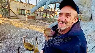 Вы только посмотрите на какие трюки идет Люська лишь бы Влад забрал ее домой)))