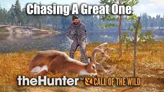 Chasing A Great One Whitetail Deer At Revontuli Coast - theHunter Call Of The Wild.
