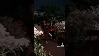 Бакыт Сейталиев “Түнкү ыр”