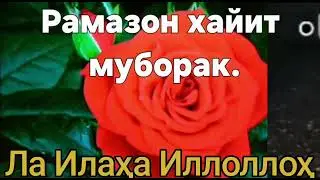 Жаннатни тилайман Аллоҳдан Сизга