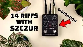 SZCZUR Distortion -14 Guitar Riffs (Nirvana, Black Sabbath, Slayer, Deftones and more)