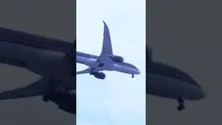 B787Dreamliner