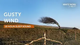 Gusty Wind - 10 Hours Sleep Sound - Black Screen