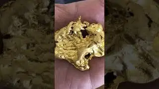 Mega Gold Nugget 200 grams metal detector search #metaldetecting #metaldetector #treasure #gold