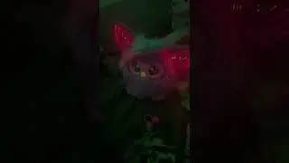 Furby dancing 