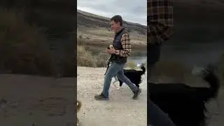 #dogtraining