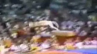 Nadia Comaneci Montage