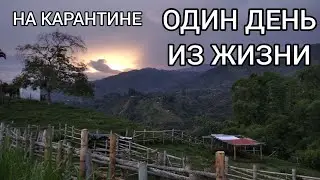 День Из Жизни На Карантине Чем  я Развлекаюсь | Жизнь в Колумбии
