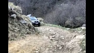 Бермамыт 2021