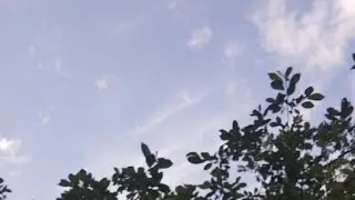 Приют Надежда Петрозаводск в прямом эфире