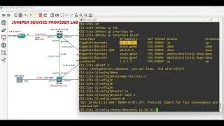 JUNIPER(JUNOS)  L3VPN VRF, OSPF PE CE