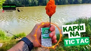 Chytám jednoho kapra za druhým na TIC TAC | Super nástraha |
