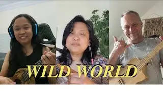 Wild World | Cat Stevens | @cynthialinmusic Ukulele Arrangement