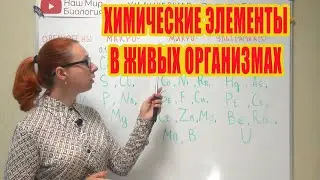 Химические элементы в живых организмах