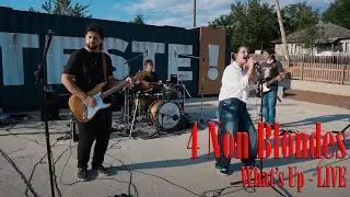 4 Non Blondes - What's Up (by @RiannaRusuSinger feat. Andrei Cerbu Band)