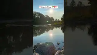 #calgary #canada #vlog #alberta #park #natural #nature #august #summer #kanada #canadalife #vlogs
