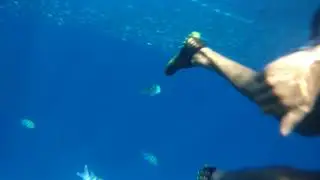 Съёмки в воде