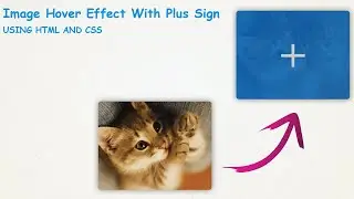image hover effect | how to create image hover overlay effects | amwebtech